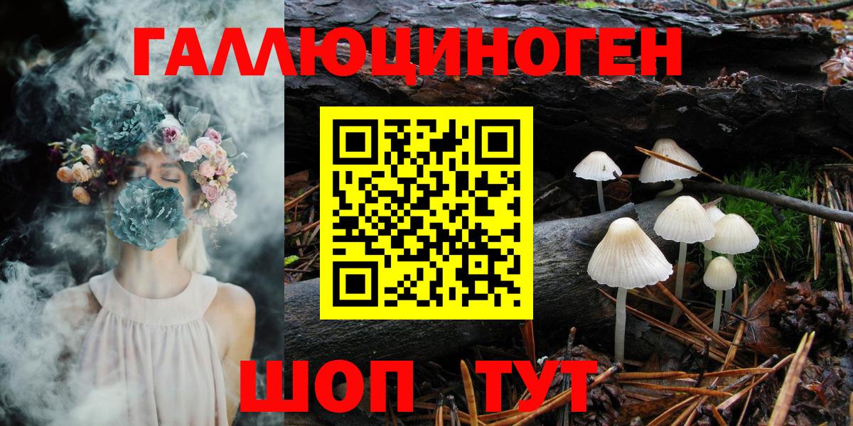 Псилоцибиновые грибы прущие грибы Кондопога