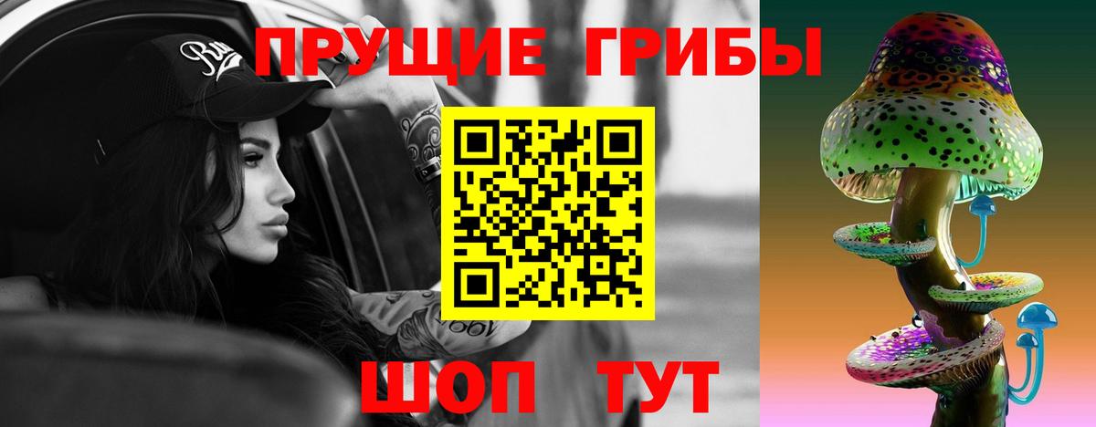 Кондопога  Псилоцибиновые грибы ЛСД  Вход с VPN 