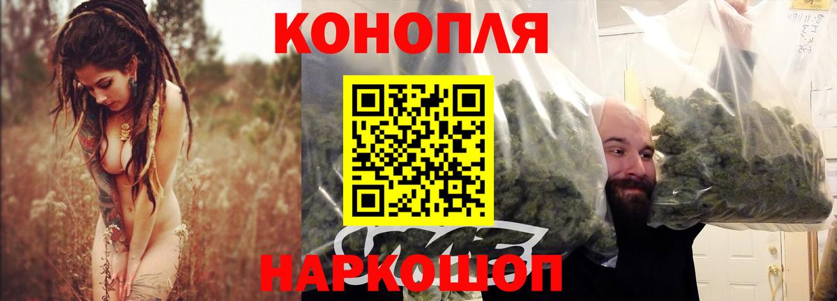 Бошки марихуана гибрид  МАРИХУАНА OG Kush  Кондопога  Канабис план  Вход с VPN  Канабис сатива 